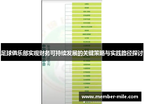 足球俱乐部实现财务可持续发展的关键策略与实践路径探讨