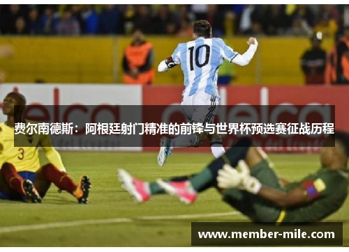 费尔南德斯:阿根廷射门精准的前锋与世界杯预选赛征战历程 费尔南德斯:阿根廷射门精准的前锋与世界杯预选赛征战历程